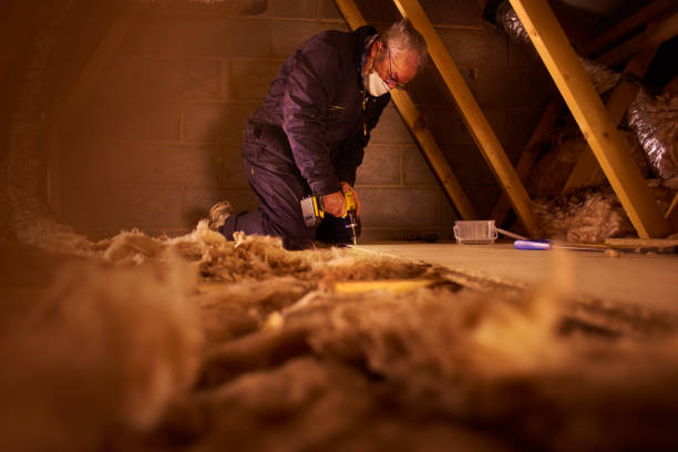 Best Insulation Installation Services in Redington Shores, FL